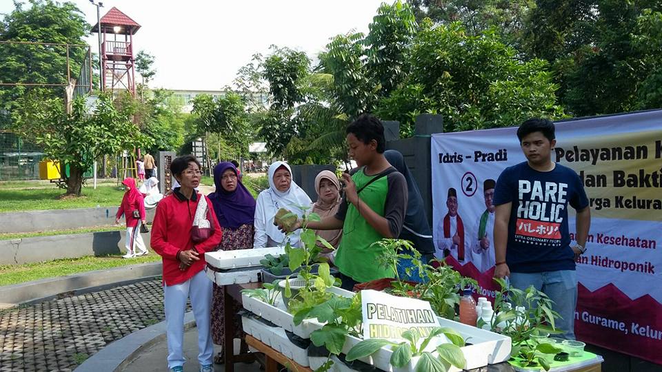 Komunitas Hydroponic Depok Ceritadepok Com