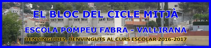 EL BLOC DEL CICLE MITJÀ