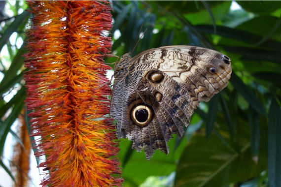 Mila Liebe Mila Stellt Vor Schloss Sayn Und Garten Der