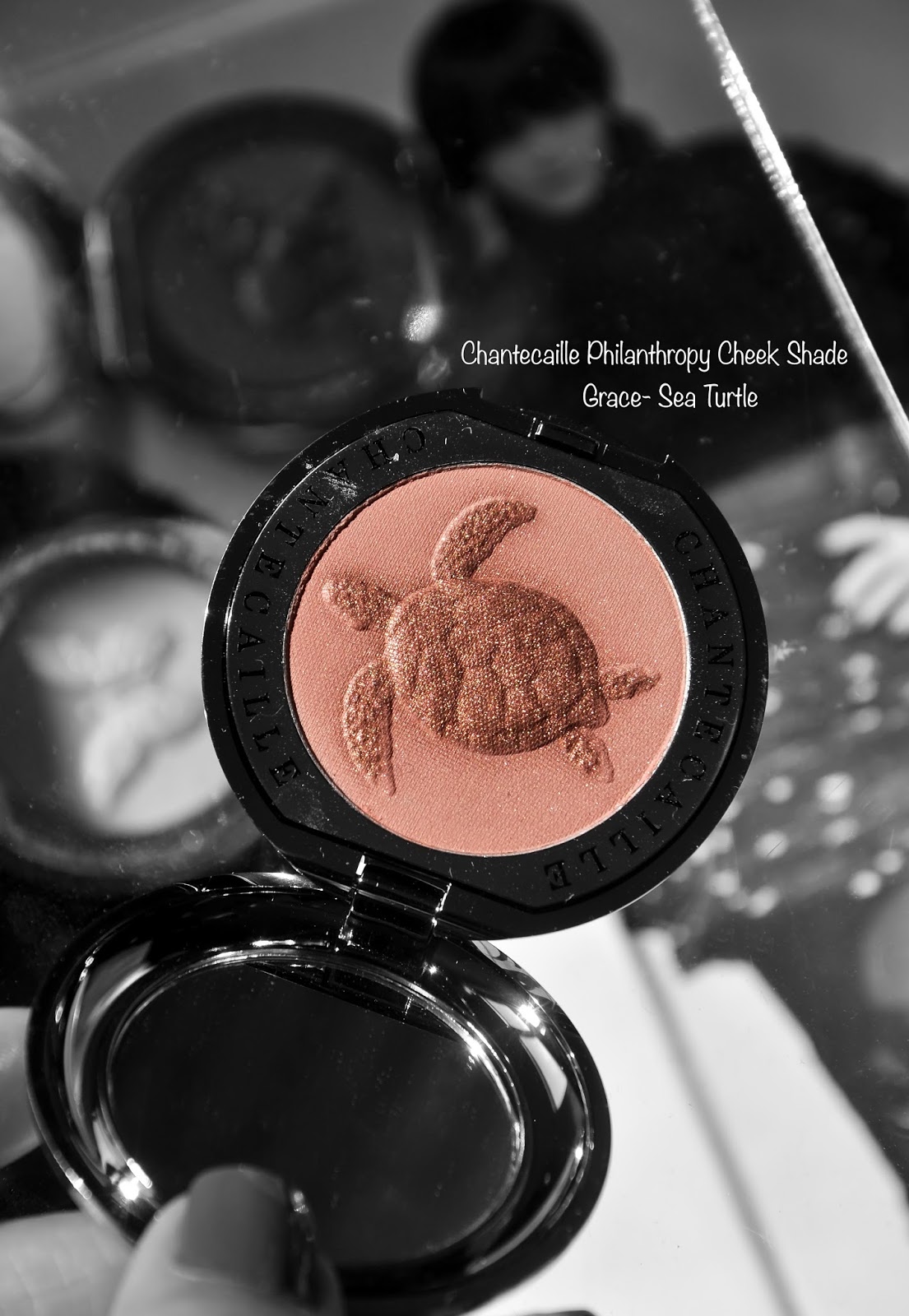 Chantecaille-Philanthropy-Cheek-Shade-Grace-Sea-Turtle Chantecaille Philanthropy Cheek Shade Grace-Sea Turtle swatches