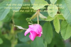 Quotes for spring, quotes about spring | Amazing Wallpapers