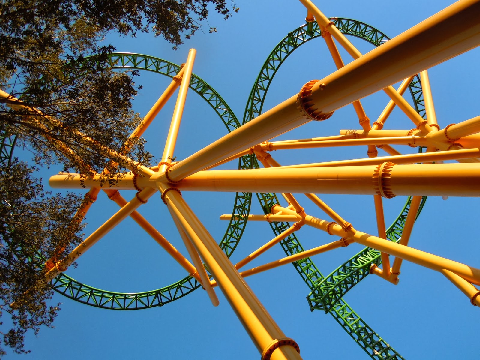 Tampa Busch Gardens Pass Members Bring a Friend for Free myownplace