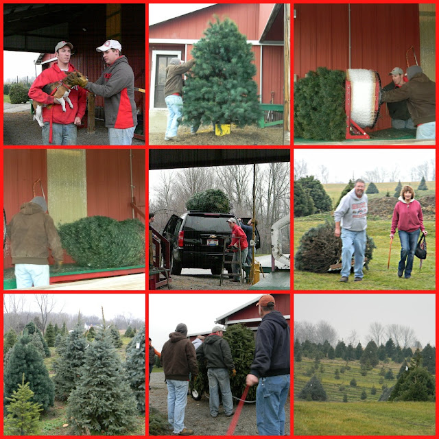 Creamy Chicken Enchiladas and Cilantro Lime Rice Crazy for Cookies