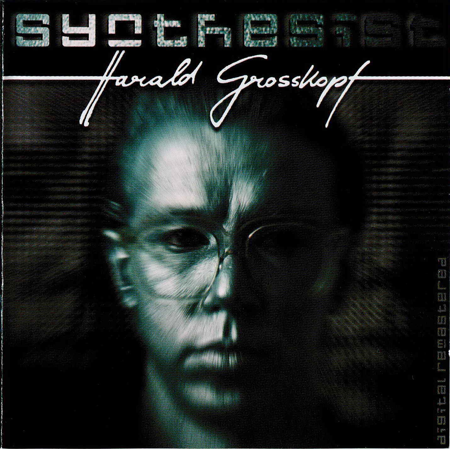 Harald grosskopf re synthesist rar 04 image