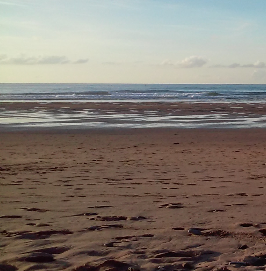 VIDA CON SENTIDO En la orilla