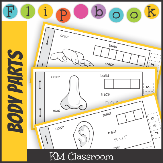 KM Classroom Body Parts Flashcards, Word Cards