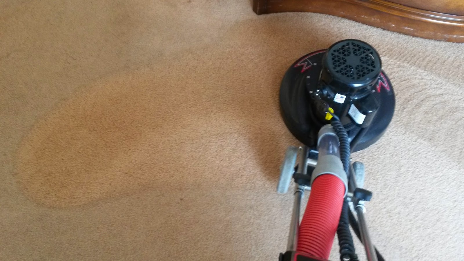 Manalapan Carpet Cleaning in Manalapan NJ New Rotovac Carpet Cleaning