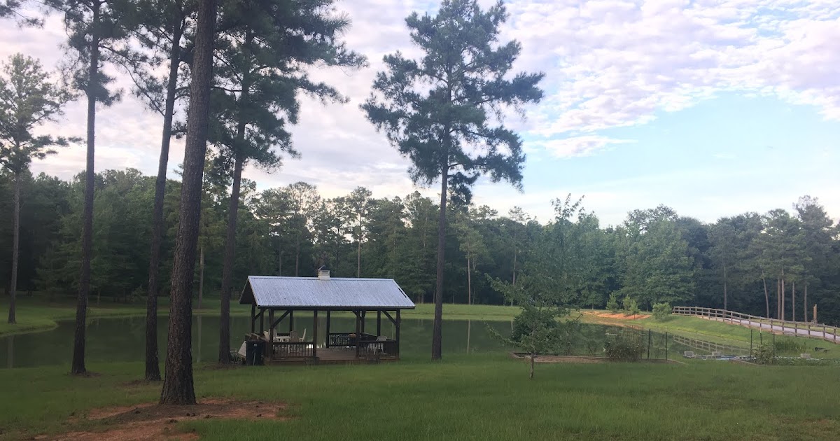 Two Forks, One Budget