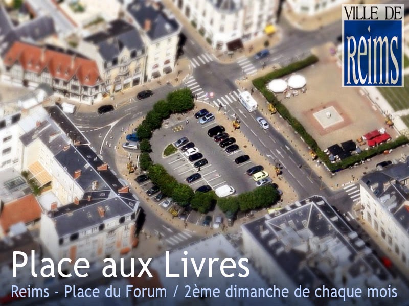 Amicarte 51 Reims Brocantes et VideGreniers Marne du dimanche 9