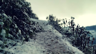 Top 5 Pics Pithoragarh Snowfall 