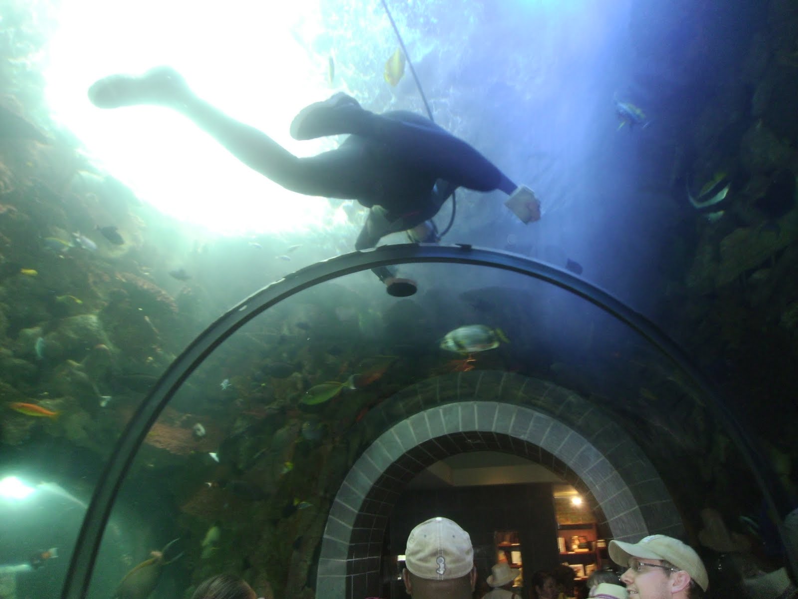 The Big Texas Hill Family Dallas World Aquarium