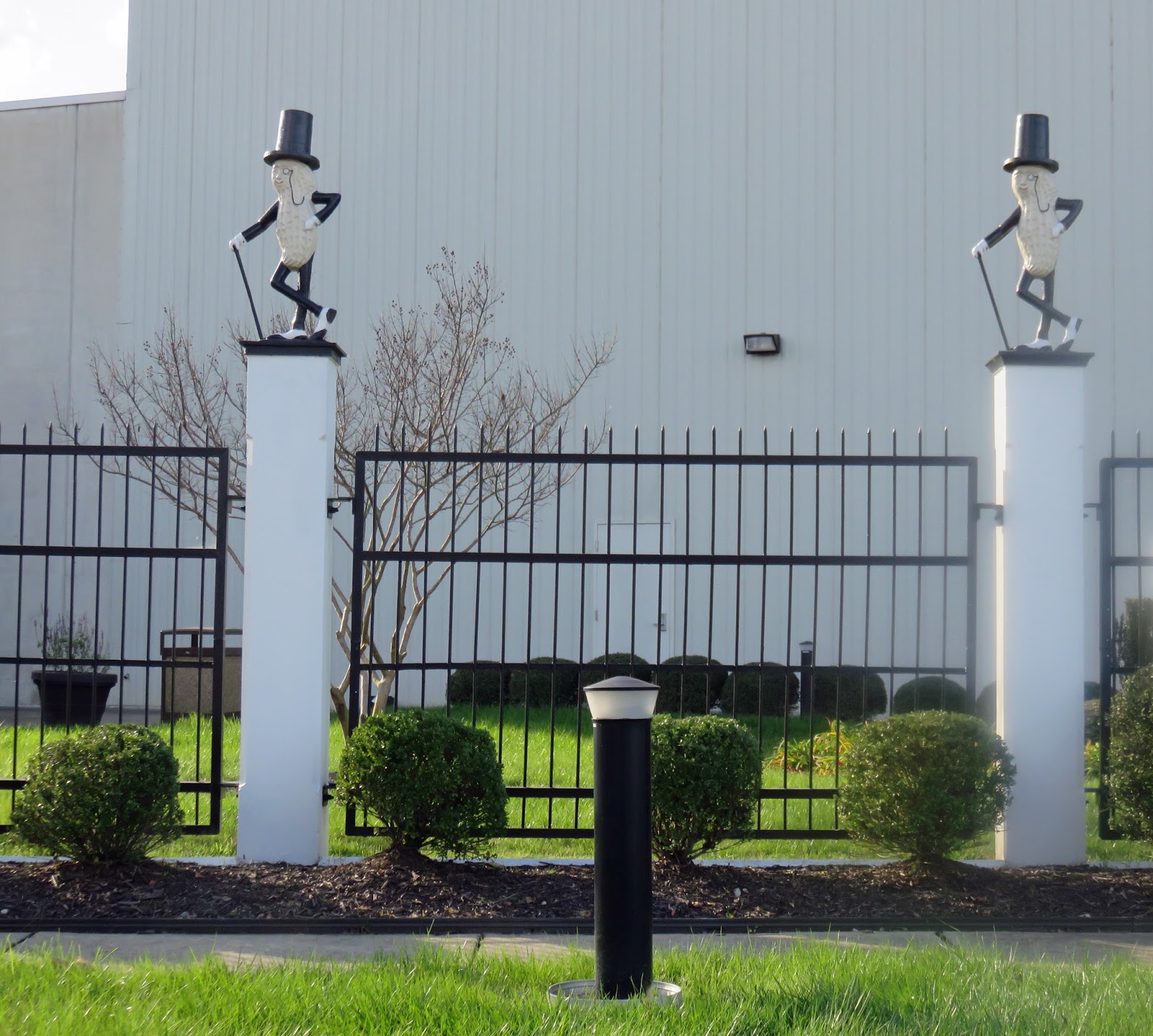 The Daily Rant When Working For Peanuts Pays Off