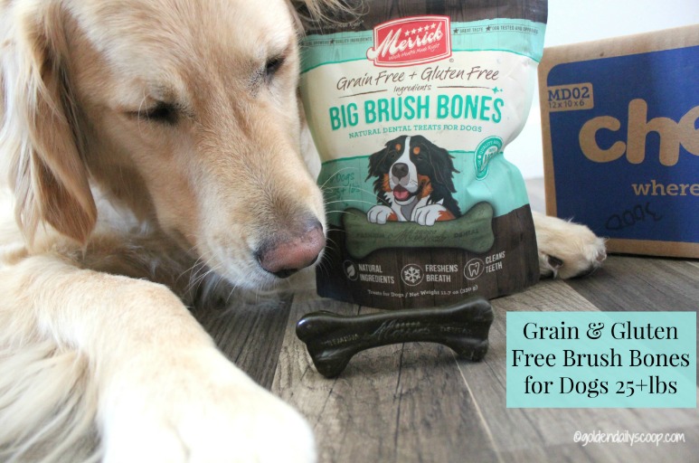 Our Top 6 Dental Products for Dogs