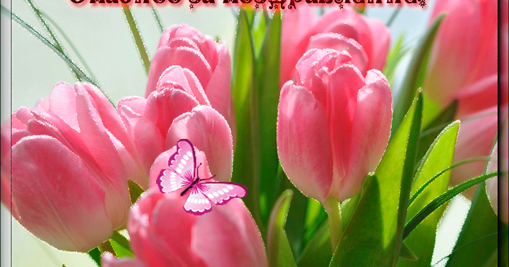 Стихи благодарности за поздравления. Что сказать в ответ на поздравления. Стихи благодарности. Красивые слова благодарности. Красивые стихи благодарности.