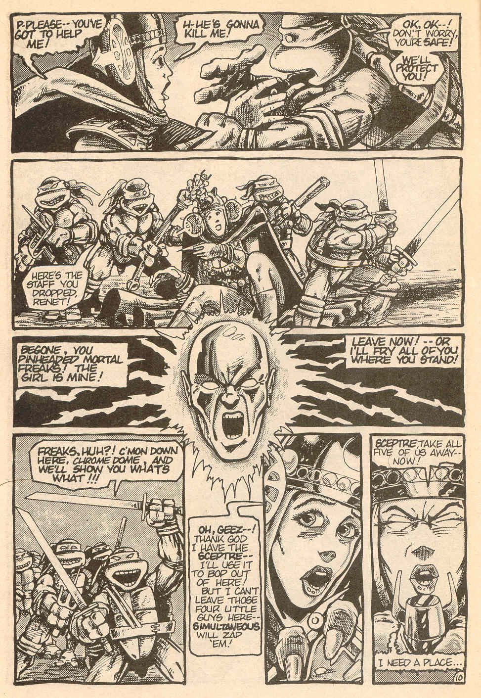 Teenage Mutant Ninja Turtles (1984) Issue #8 #8 - English 12