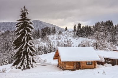 Winter Check-Up for Energy Savings 