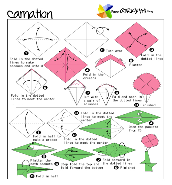 Paper Origami : Carnation | Paper Origami Guide