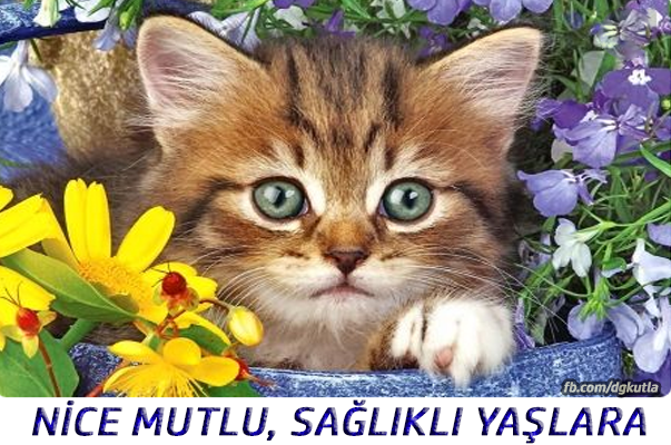 Doğum günü kutlama görseli 2