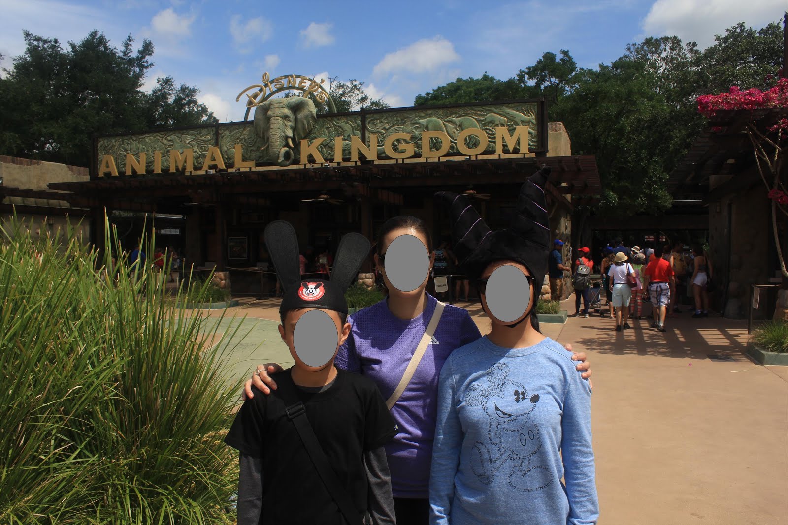Stay, Stray, Play and Feast: Walt Disney World’s Animal Kingdom