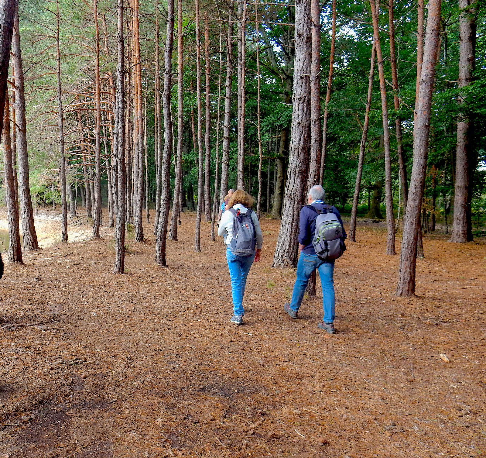 Ile de France Walks Hike for August 14