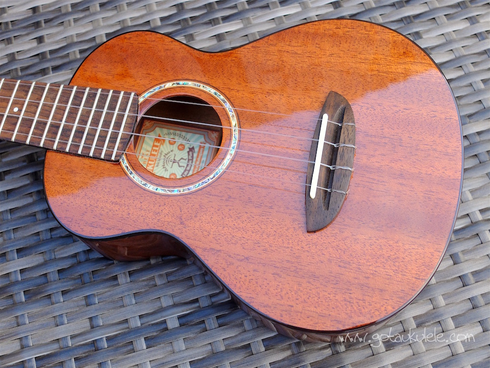 aNueNue Africa Mahogany II Concert Ukulele REVIEW