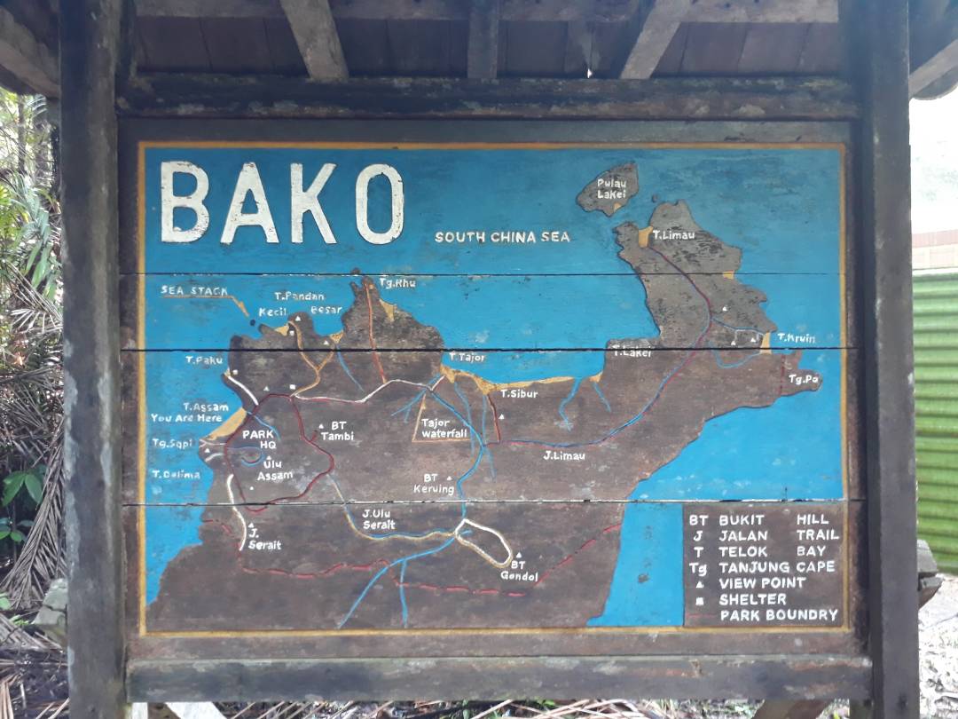 Promoxbuzz Taman Negara Bako Sarawak