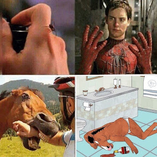 spiderman begins with a bite from a radioactive spider horse bites man horseman gets drunk