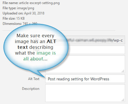Image alt text setting in WordPress