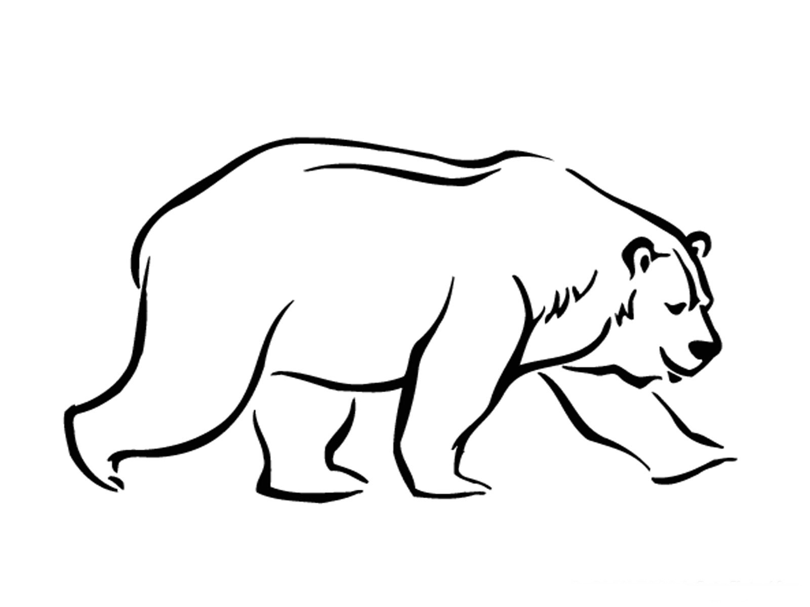 baby brown bear coloring pages - photo #24