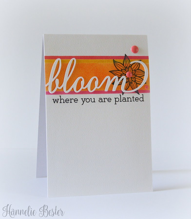 Bloom where you are planted