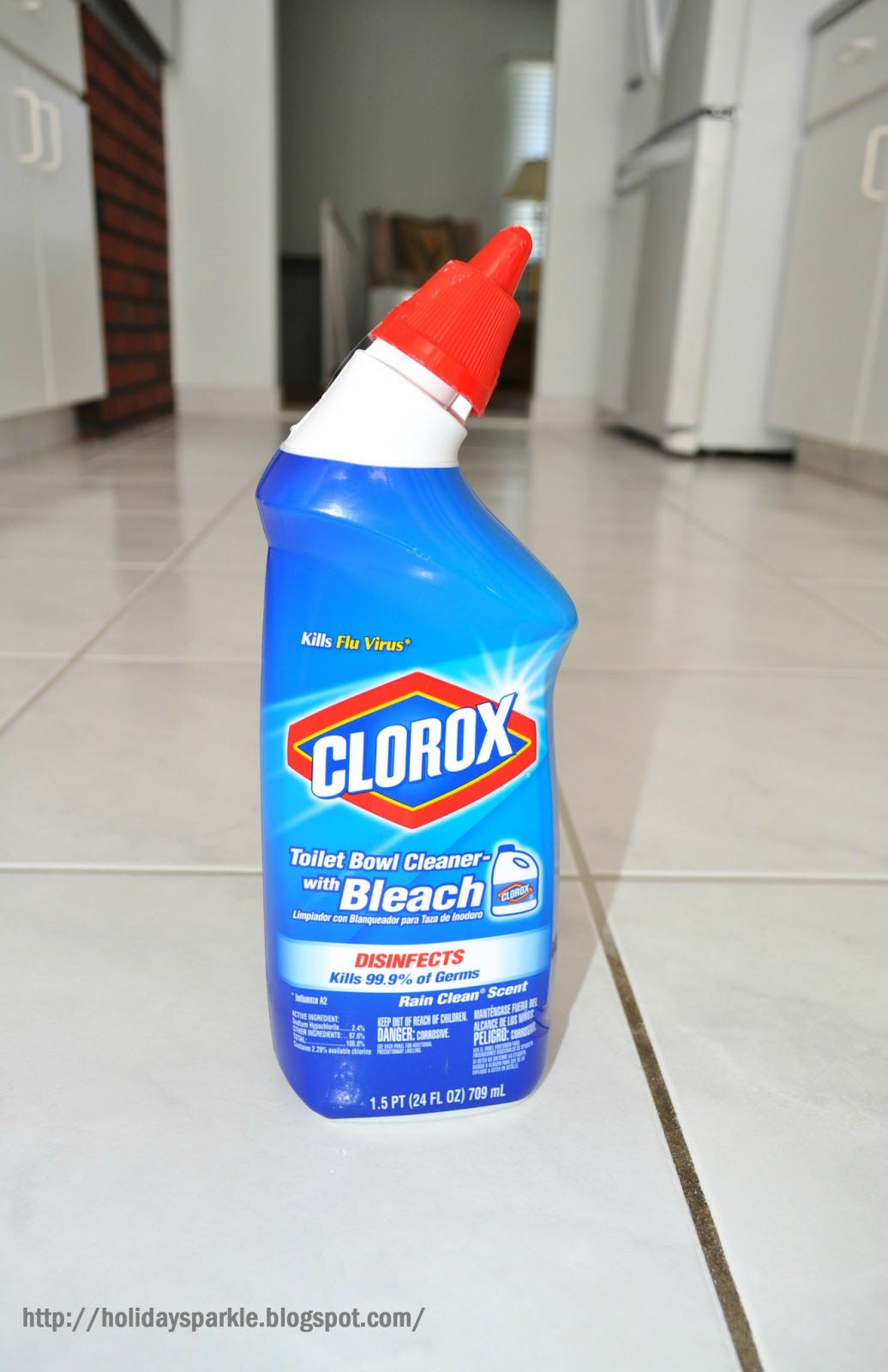 Holiday Sparkle GROUT CLEANER