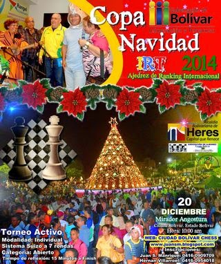 COPA NAVIDAD 2014