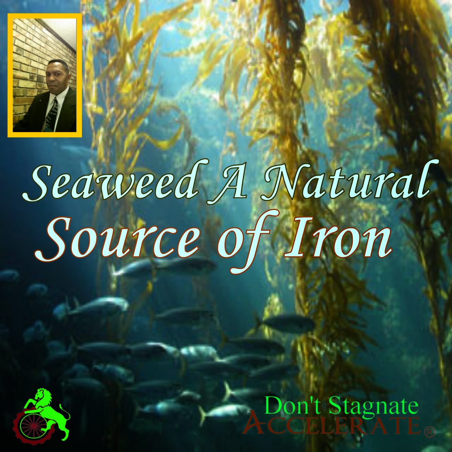 Health Benefits of Seaweed A Natural Source of Iron Irondeficiency