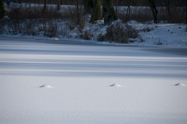 Echt winter