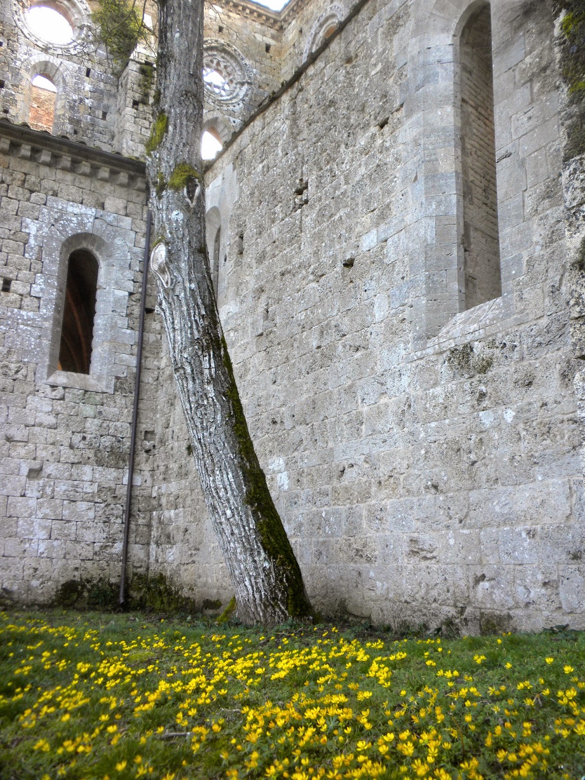 San Galgano Abbey