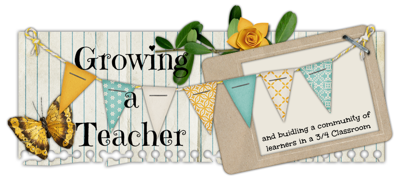 Growing a Teacher
