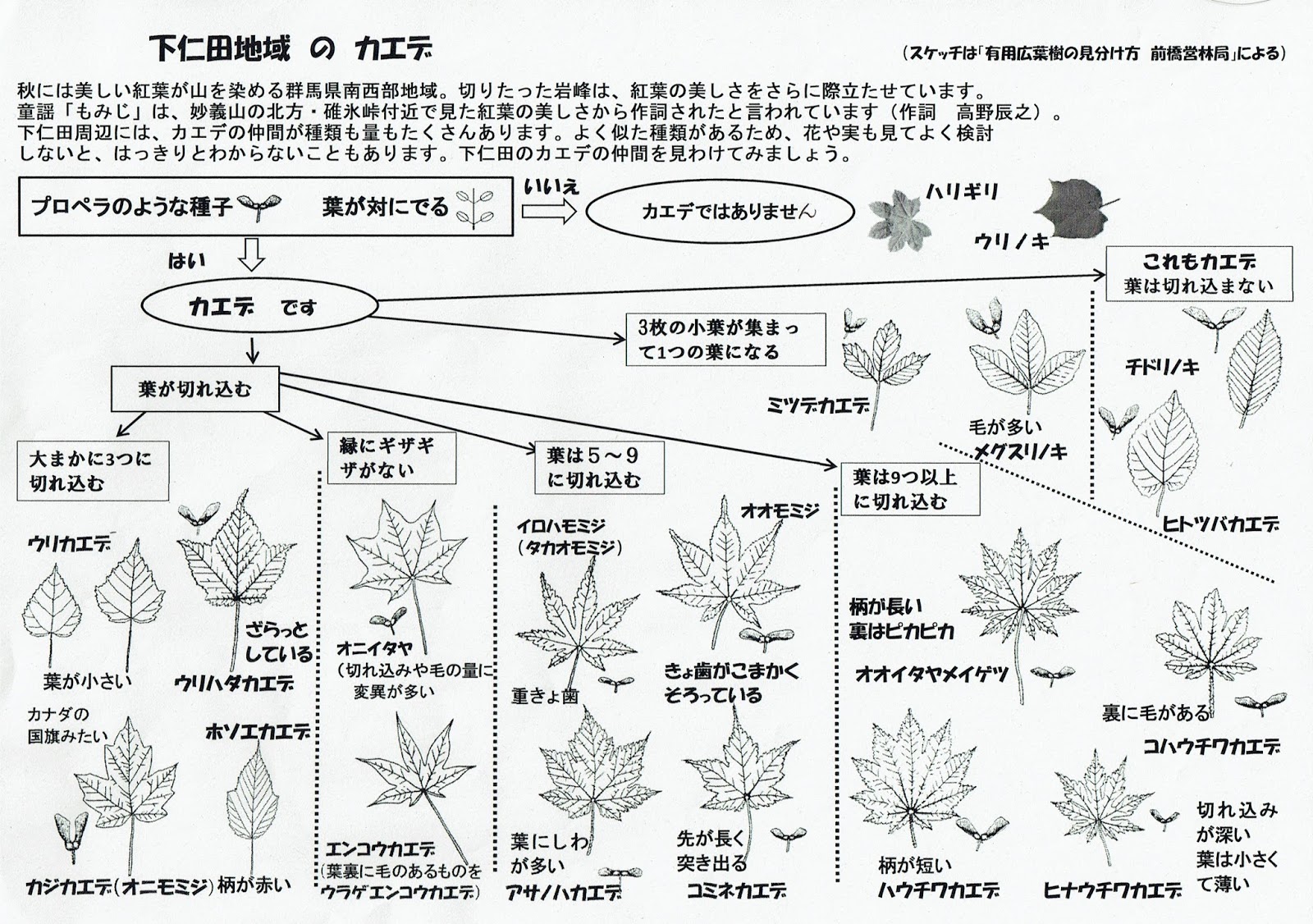野道 山道 もみじとドングリの検索表 鉱山の記録とは