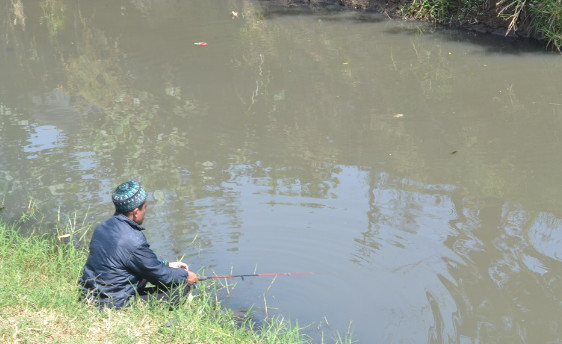 99 Arti Mimpi Mancing Ikan Lele Menurut Primbon Islam Hindu Dan Kristen Mimpi Mancing 99 Arti Mimpi Mancing Ikan Lele Menurut Primbon Islam Hindu Dan Kristen Mimpi Mancing