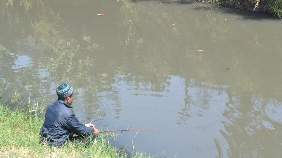 99 Arti Mimpi Mancing Ikan Lele Menurut Primbon Islam Hindu Dan Kristen Mimpi Mancing