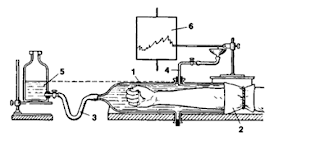 plethysmography plethysmograph blood components figure
