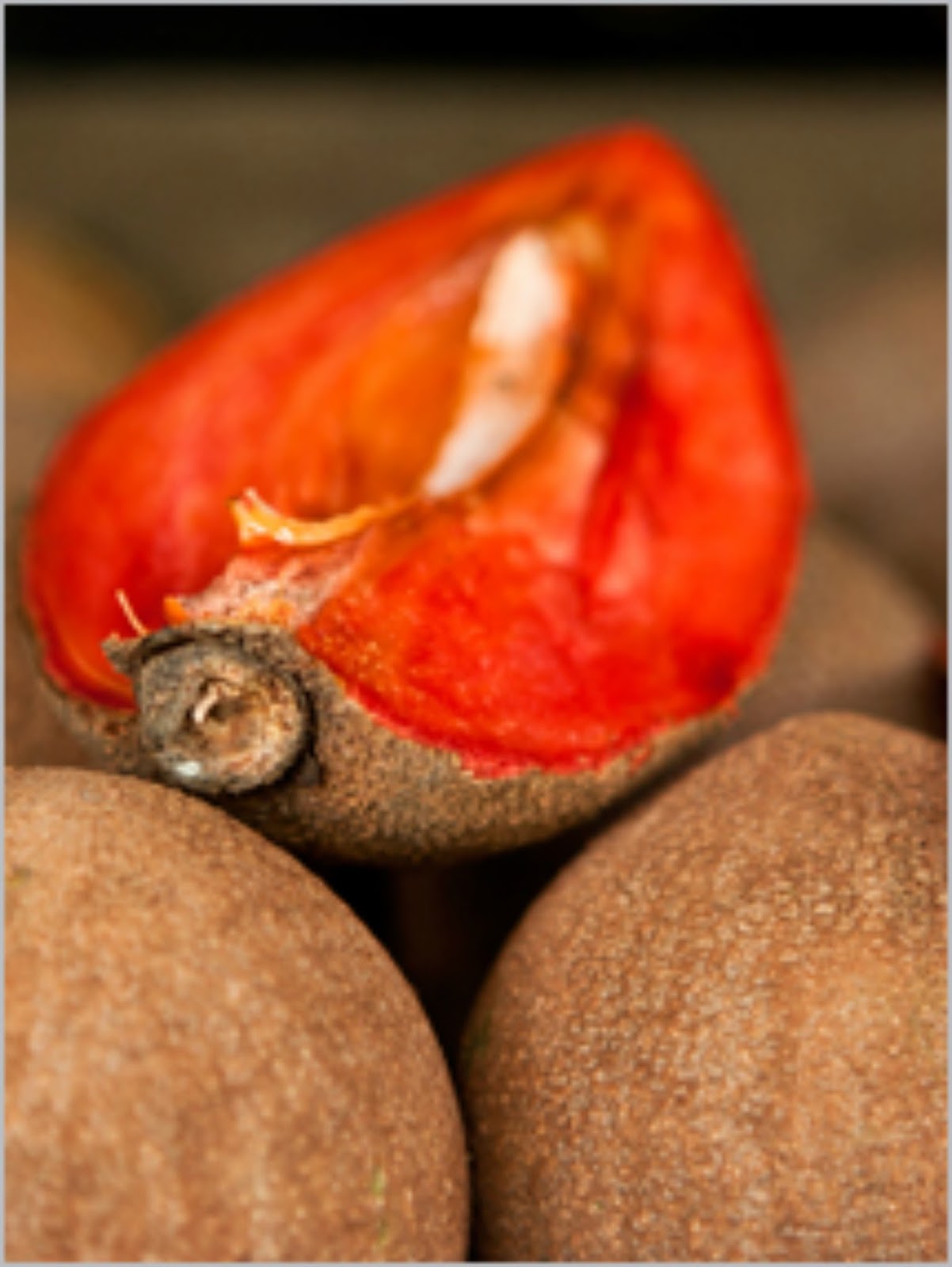 Mamey Fruit and Brazil Nut Smoothie