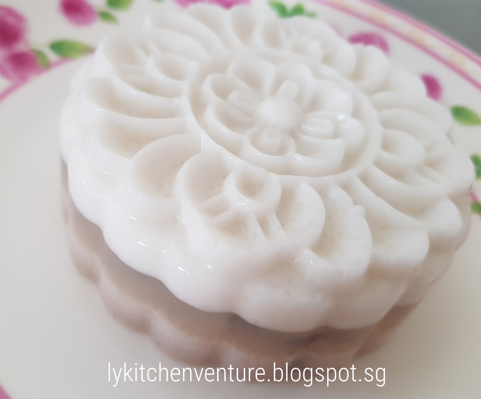 LY's Kitchen Ventures Red Bean Coconut Jelly Mooncake