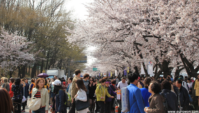 Aspecto de Yeouido en el Festival de Flores Primaverales