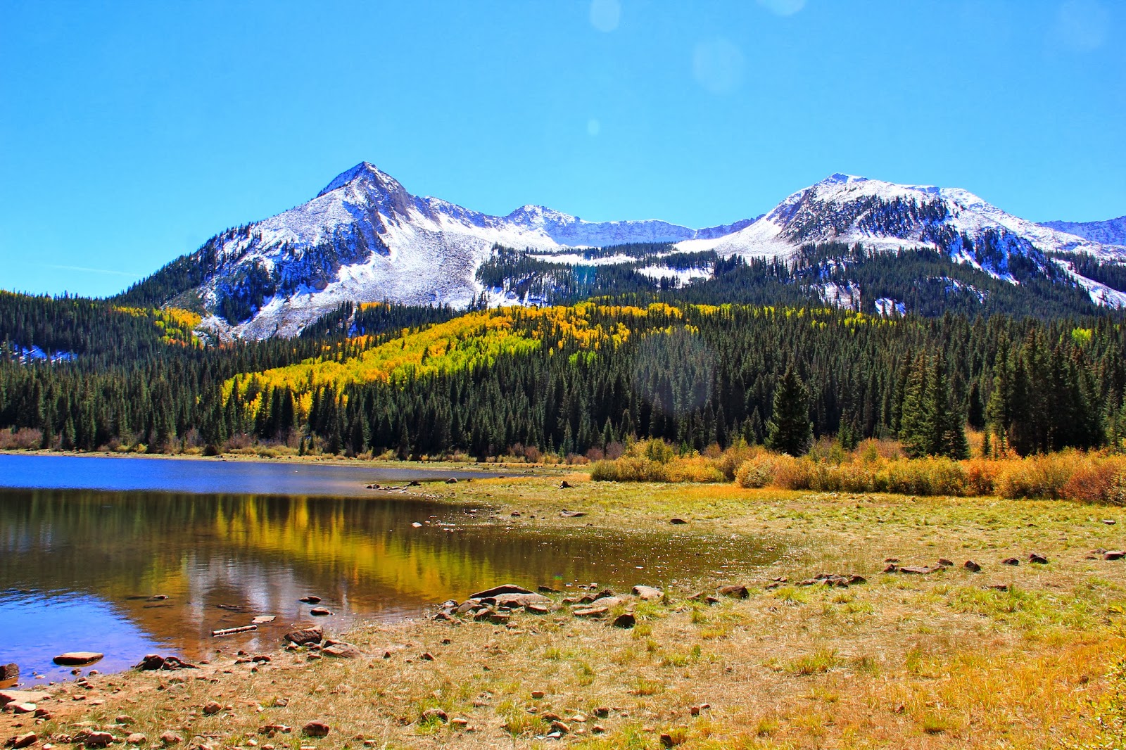 The Nerdy Naturalist Kebler Pass Aspen Auto Tour
