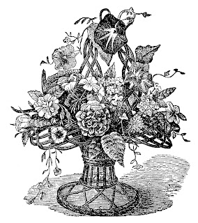 flower vase image botanical artwork illustration download