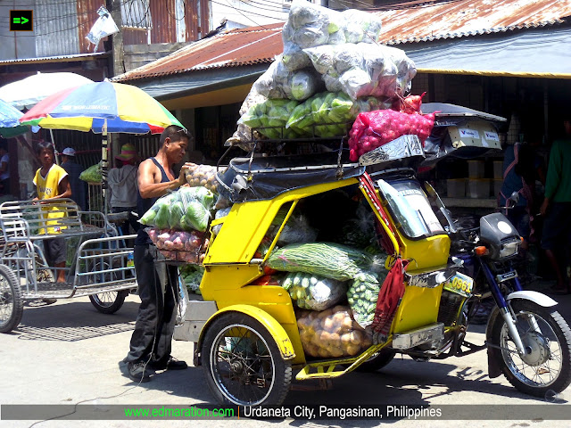 Urdaneta City, Pangasinan