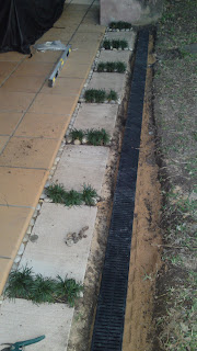 Little Cove Design: October 2011