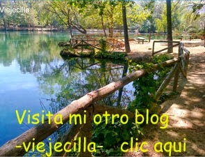Otro blog mio: Viejecilla