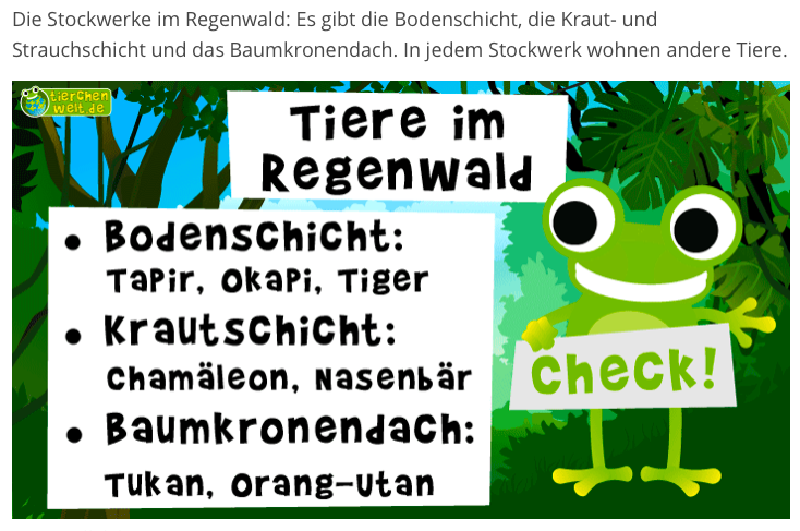 Typische Diskurse Zur Normierung Und Reform Der Deutschen