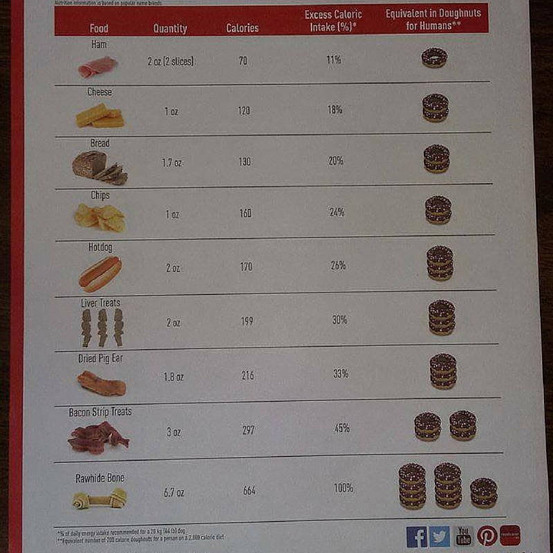 White House Animal Hospital Blog: Are you Overfeeding your ...